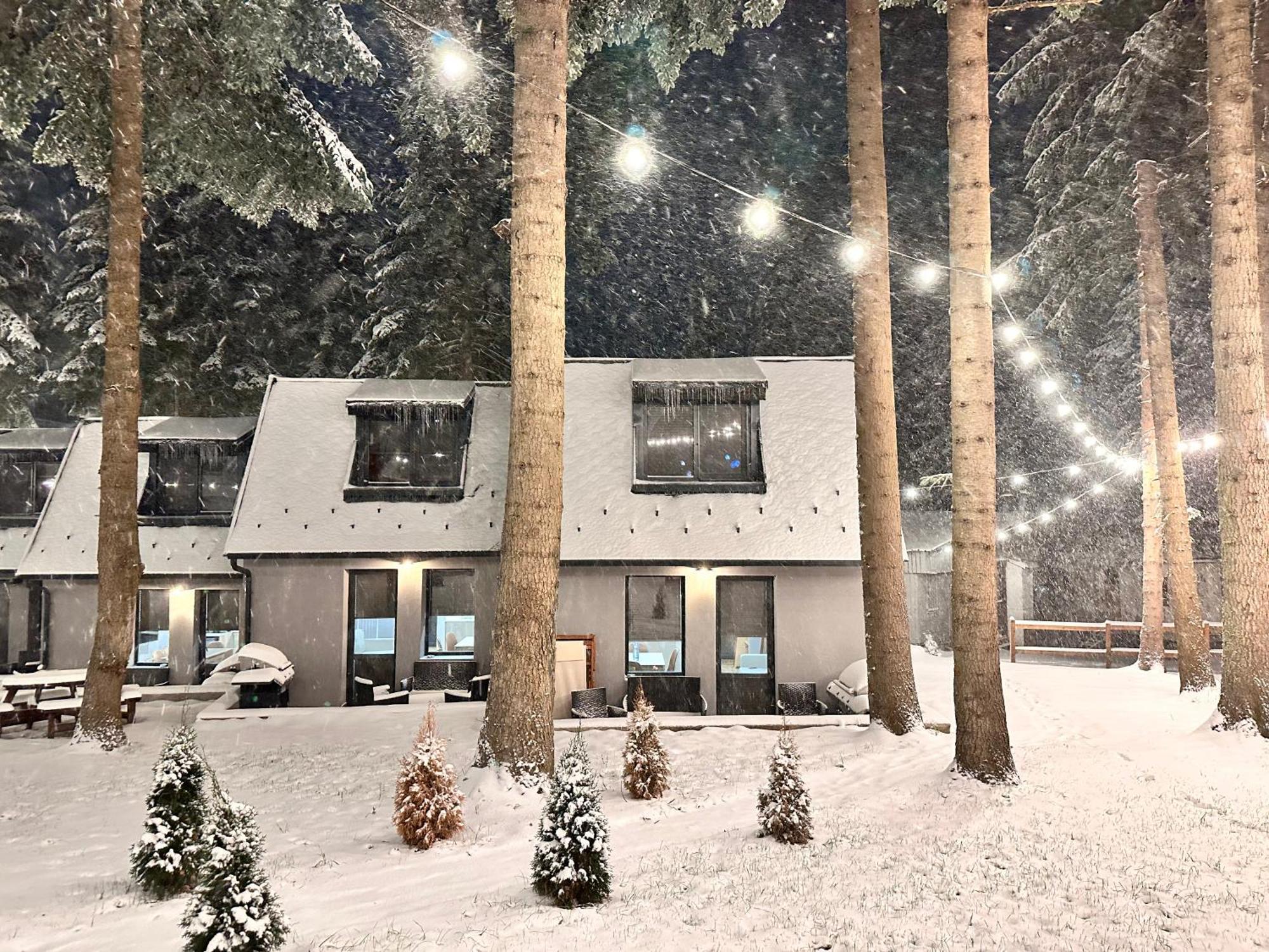 Boro Green Holiday Village โบโรเวทส์ ภายนอก รูปภาพ